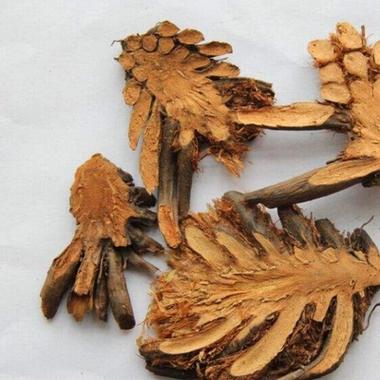 绵马贯众 贯节 贯渠 百头 500g克 中药材初级农产品